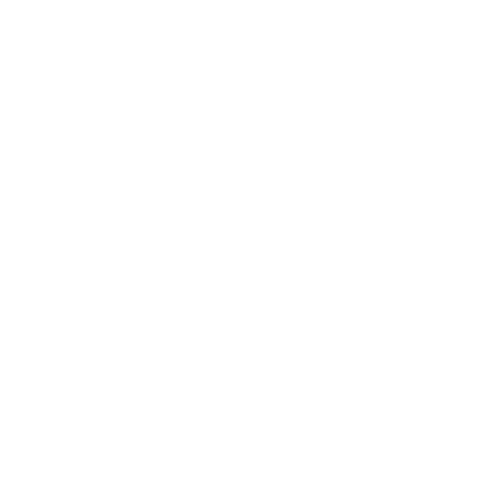 Fly Budget Logo